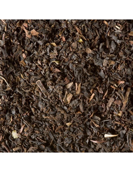 Breakfast dammann 50 sachets