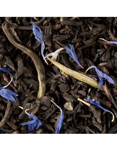 EARL GREY YIN ZHEN Dammann 50 sachets