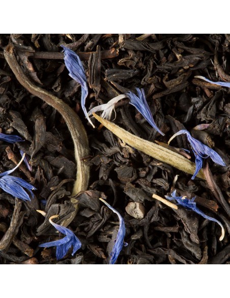 EARL GREY YIN ZHEN Dammann 50 sachets