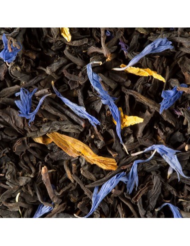 Jardin Bleu DAMMANN 25 sachets