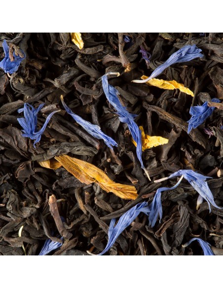 Jardin Bleu DAMMANN 25 sachets