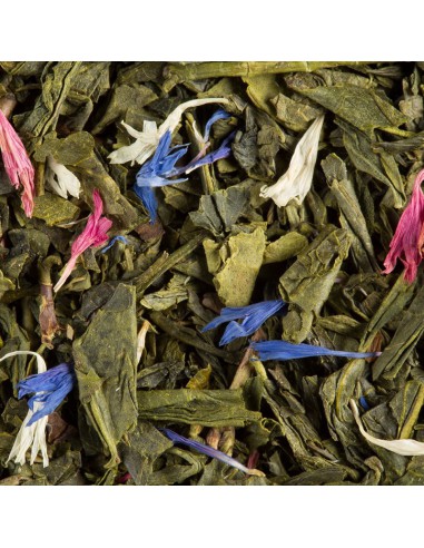 Oriental DAMMANN 25 sachets