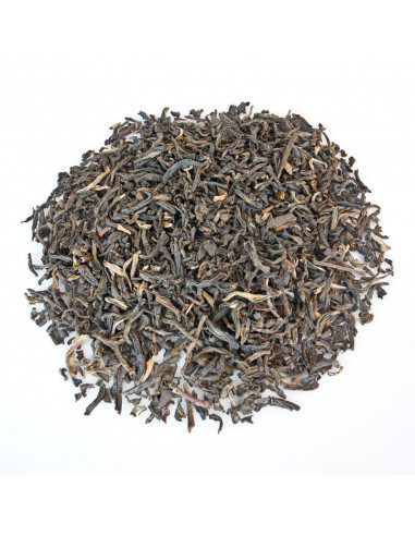 grand yunnan