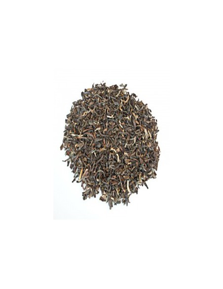 Darjeeling Himalaya G.F.O.P.